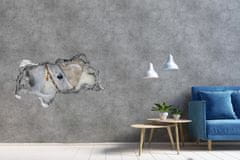 Wallmuralia.sk Diera 3D fototapeta nálepka Biela arabský kôň 150x115 cm