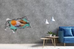 Wallmuralia.sk Diera 3D fototapeta nálepka Robin bird 150x115 cm