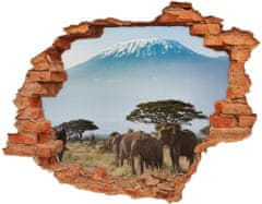 Wallmuralia.sk Nálepka 3D diera na stenu Slony kilimandžáro 90x70 cm
