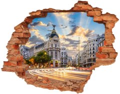 Wallmuralia.sk Foto fotografie diera na stenu Madrid španielsko 90x70 cm