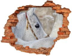 Wallmuralia.sk Foto fotografie diera na stenu Biela arabský kôň 90x70 cm