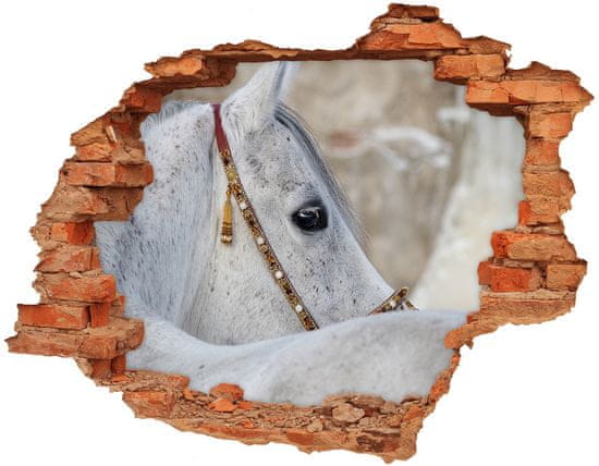 Wallmuralia.sk Foto fotografie diera na stenu Biela arabský kôň