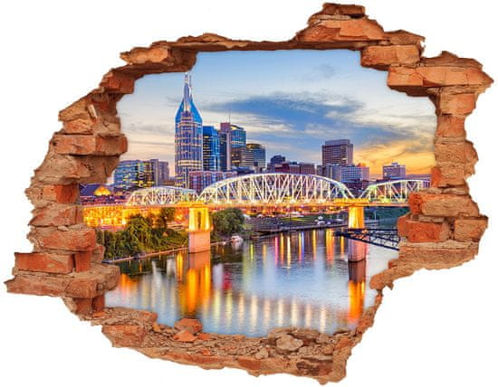 Wallmuralia.sk Diera 3D fototapeta nálepka Bridge tennessee usa