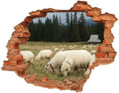 Wallmuralia.sk Fototapeta diera na stenu Pasúce sa ovce 120x93 cm