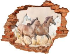 Wallmuralia.sk Diera 3D v stene na stenu Cválajúca kone 90x70 cm