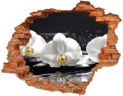 Wallmuralia.sk Diera 3D fototapeta Orchidea 90x70 cm