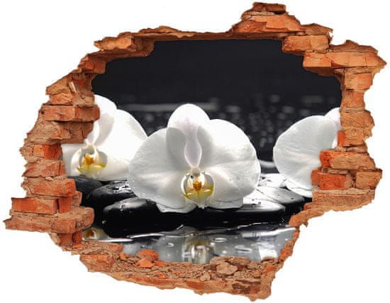 Wallmuralia.sk Diera 3D fototapeta Orchidea