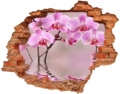 Wallmuralia.sk Diera 3D fototapeta nálepka Ružová orchidea 120x93 cm