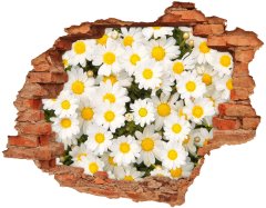 Wallmuralia.sk 9D diera na stenu Sedmokrásky 148x115 cm