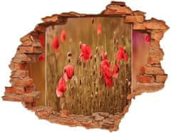 Wallmuralia.sk 4D diera na stenu Poppies triptych 120x93 cm