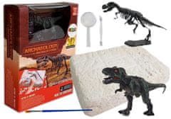 Lean-toys Sada modelov kostry dinosaura Tyrannosaura Rexa z vykopávok