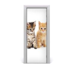tulup.sk Samolepiace fototapety na dvere Sivá a červená mačka 75x205 cm