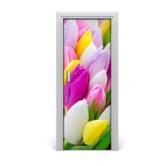 tulup.sk Samolepiace fototapety na dvere farebné tulipány 75x205 cm