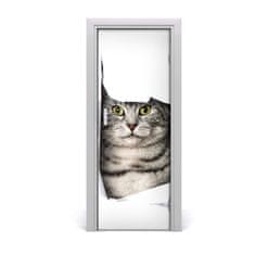 tulup.sk Fototapeta samolepiace na dvere mačka v diere 75x205 cm