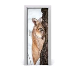 tulup.sk Fototapeta samolepiace na dvere horská puma 75x205 cm