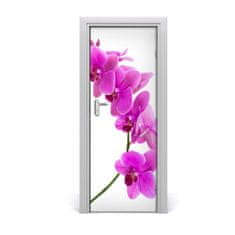 tulup.sk Fototapeta samolepiace ružová orchidea 75x205 cm