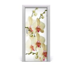 tulup.sk Samolepiace fototapety na dvere orchidea 85x205 cm