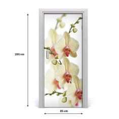 tulup.sk Samolepiace fototapety na dvere orchidea 85x205 cm