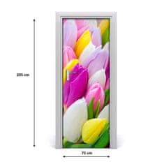 tulup.sk Samolepiace fototapety na dvere farebné tulipány 75x205 cm