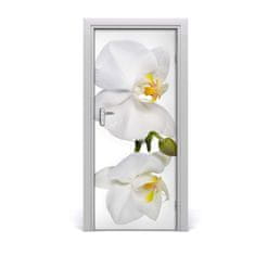 tulup.sk Samolepiace fototapety na dvere biela orchidea 85x205 cm