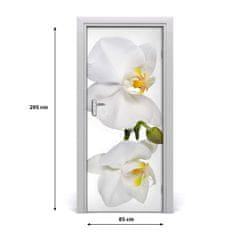 tulup.sk Samolepiace fototapety na dvere biela orchidea 85x205 cm