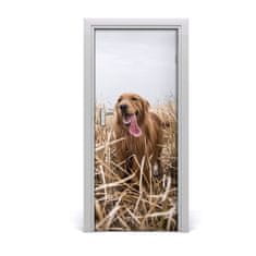 tulup.sk Samolepiace fototapety na dvere golden retriever 85x205 cm