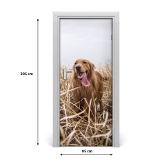 tulup.sk Samolepiace fototapety na dvere golden retriever 85x205 cm