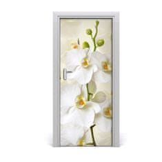 tulup.sk Fototapeta na dvere biela orchidea 85x205 cm