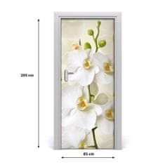 tulup.sk Fototapeta na dvere biela orchidea 85x205 cm