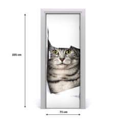 tulup.sk Fototapeta samolepiace na dvere mačka v diere 75x205 cm