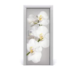 tulup.sk Fototapeta na dvere biela orchidea 85x205 cm