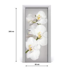 tulup.sk Fototapeta na dvere biela orchidea 85x205 cm