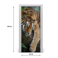 tulup.sk Samolepiace fototapety na dvere tiger na strome 85x205 cm