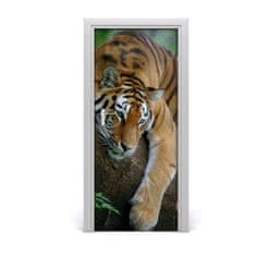 tulup.sk Samolepiace fototapety na dvere tiger na strome 85x205 cm