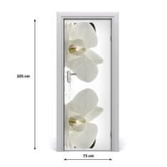 tulup.sk Fototapeta samolepiace Orchidea a kamene 75x205 cm