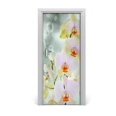 tulup.sk Fototapeta samolepiace orchidea 85x205 cm