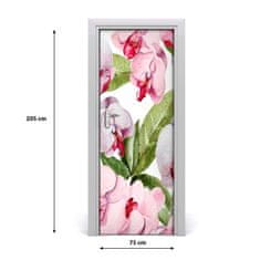 tulup.sk Samolepiace fototapety na dvere orchidea 75x205 cm