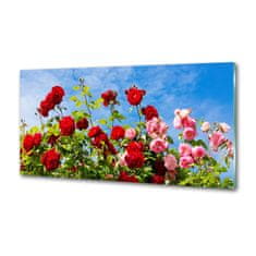 Wallmuralia.sk Dekoračný panel sklo Divoké ruže 100x50 cm