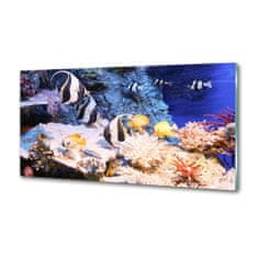 Wallmuralia.sk Dekoračný panel Koralový útes 100x50 cm