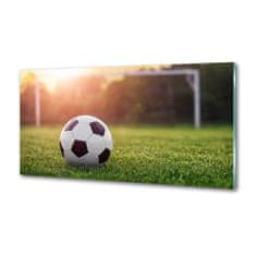 Wallmuralia.sk Dekoračný panel sklo Futbal 125x50 cm