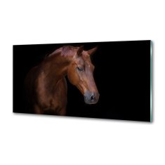 Wallmuralia.sk Dekoračný panel sklo Hnedý kôň 100x50 cm