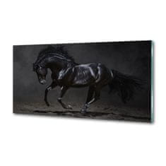 Wallmuralia.sk Dekoračný panel sklo Čierny kôň 125x50 cm