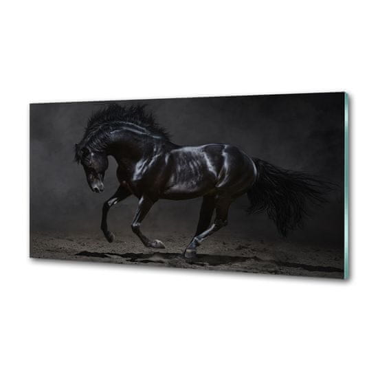 Wallmuralia.sk Dekoračný panel sklo Čierny kôň
