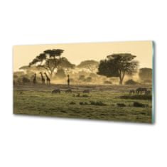 Wallmuralia.sk Panel do kuchyne Žirafy na savane 125x50 cm