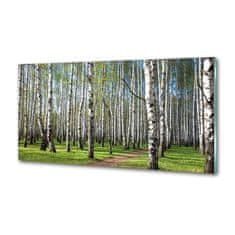 Wallmuralia.sk Dekoračný panel sklo Brezovy les 100x50 cm