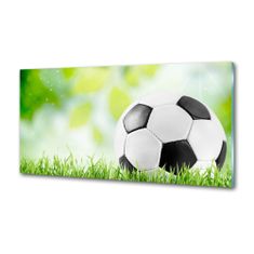 Wallmuralia.sk Dekoračný panel sklo Futbal 100x50 cm