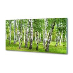 Wallmuralia.sk Dekoračný panel sklo Brezovy les 140x70 cm