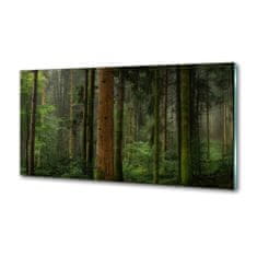 Wallmuralia.sk Dekoračný panel sklo Hmla v lese 140x70 cm