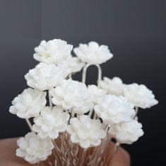 IZMAEL Vlásenka White Flower KP1573