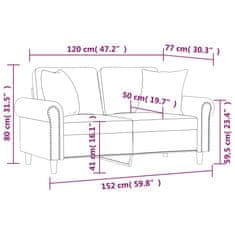 Petromila vidaXL 2-miestna pohovka s vankúšmi ružová 120 cm zamat